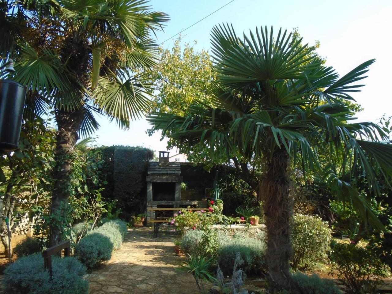 Villa Maria Novigrad Istria Εξωτερικό φωτογραφία