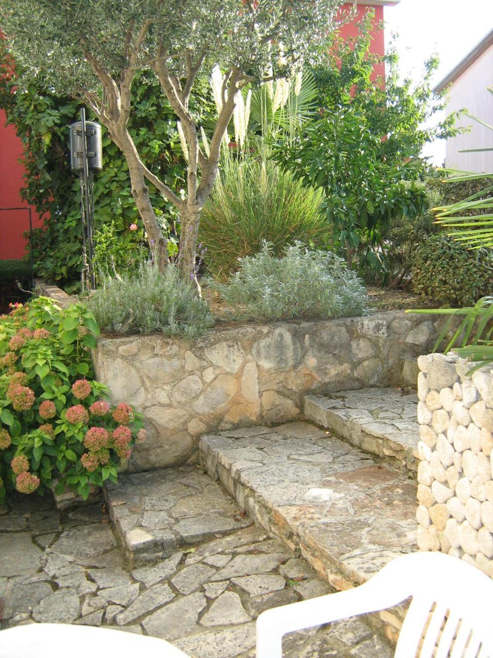 Villa Maria Novigrad Istria Εξωτερικό φωτογραφία